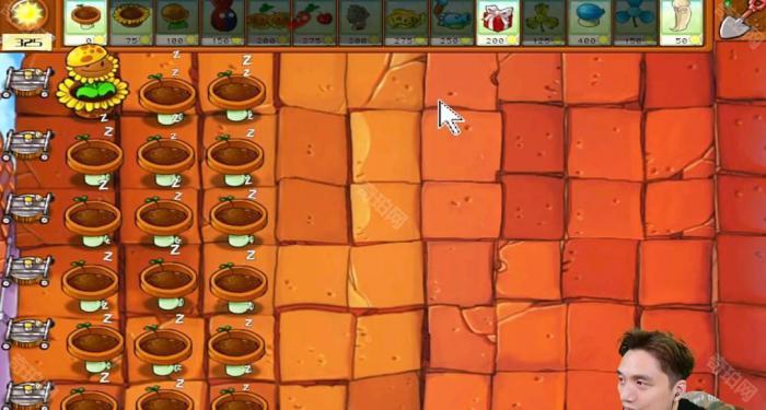 《植物大战僵尸杂交版》冒险模式第45关通关攻略2