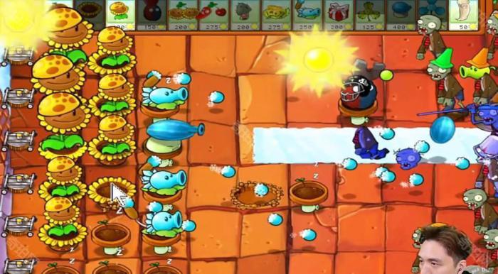《植物大战僵尸杂交版》冒险模式第45关通关攻略4