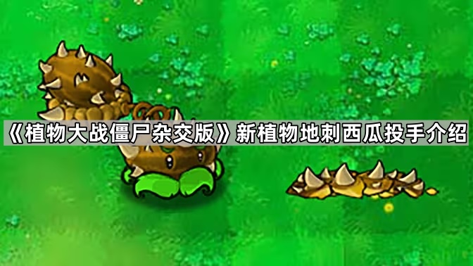 《植物大战僵尸杂交版》新植物地刺西瓜投手介绍1