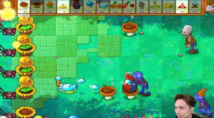 《植物大战僵尸杂交版》冒险模式第37关通关攻略2