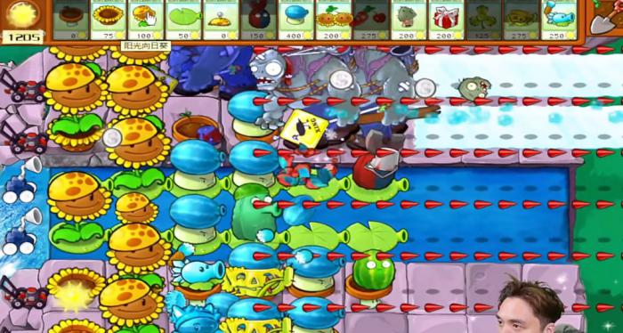 《植物大战僵尸杂交版》冒险模式第34关通关攻略6