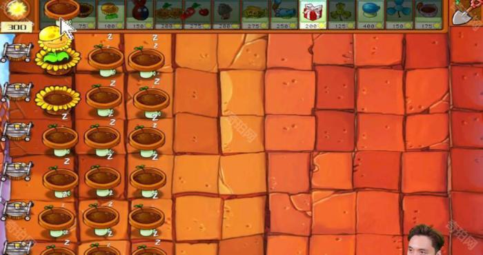 《植物大战僵尸杂交版》冒险模式第46关通关攻略2