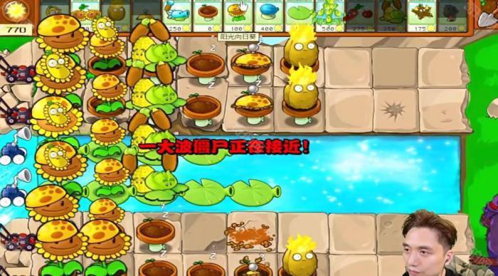 《植物大战僵尸杂交版》冒险模式第22关通关攻略4