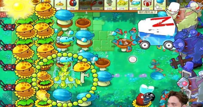 《植物大战僵尸杂交版》冒险模式第39关通关攻略4