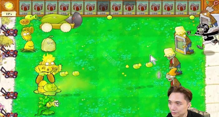 《植物大战僵尸杂交版》冒险模式第27关通关攻略3