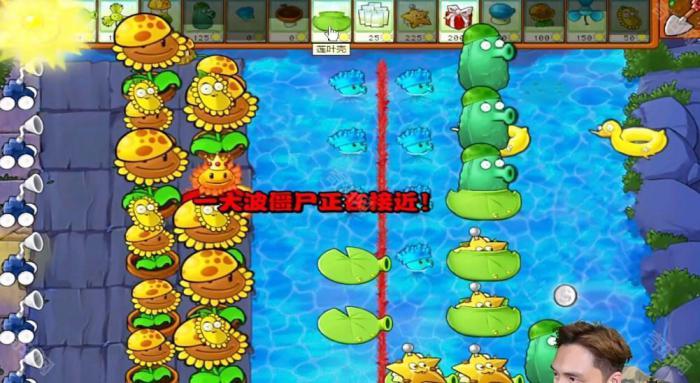 《植物大战僵尸杂交版》冒险模式第66关通关攻略4