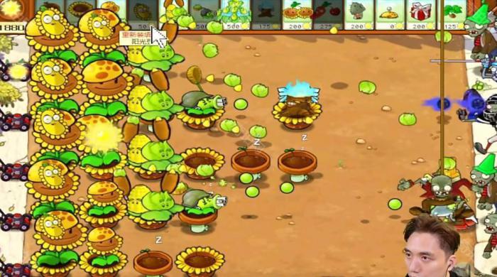 《植物大战僵尸杂交版》冒险模式第29关通关攻略4