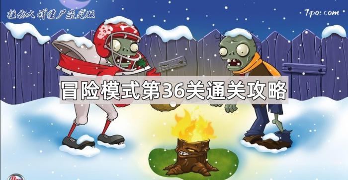植物大战僵尸杂交版冒险模式第36关通关攻略_植物大战僵尸冒险模式3-1