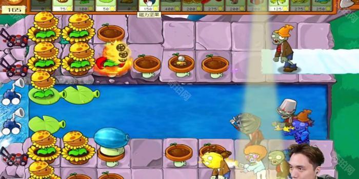 《植物大战僵尸杂交版》冒险模式第33关通关攻略3