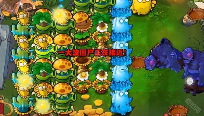 《植物大战僵尸杂交版》挑战模式第49关通关攻略6