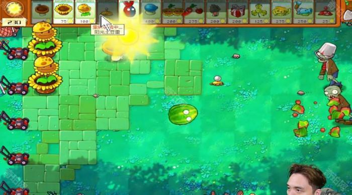 《植物大战僵尸杂交版》冒险模式第35关通关攻略2