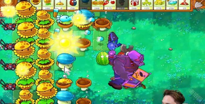 《植物大战僵尸杂交版》冒险模式第35关通关攻略4