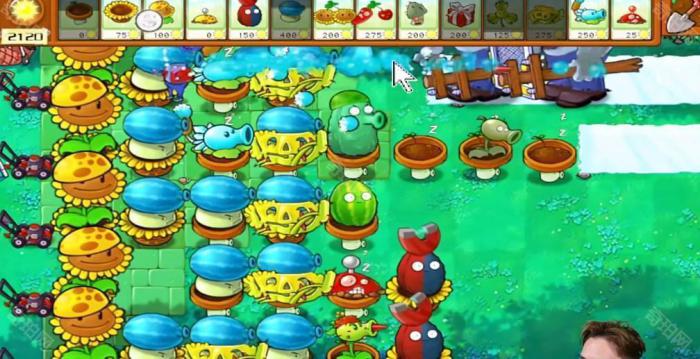 《植物大战僵尸杂交版》冒险模式第35关通关攻略6