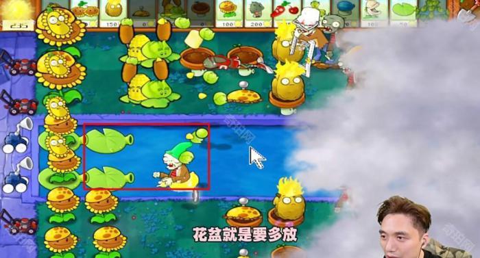 《植物大战僵尸杂交版》冒险模式第21关通关攻略4