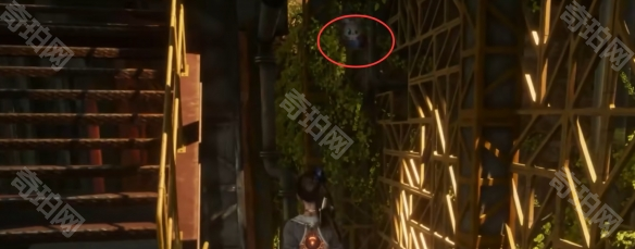 《剑星》猫咪摄影展任务攻略4