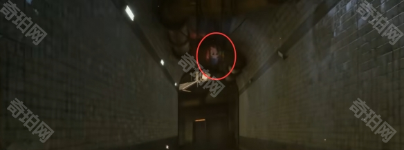 《剑星》猫咪摄影展任务攻略14