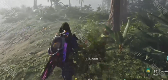 《七日世界》食材获得方法4