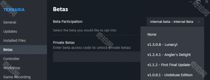 《泰拉瑞亚》1.3复古版本Lunacy游玩方法4