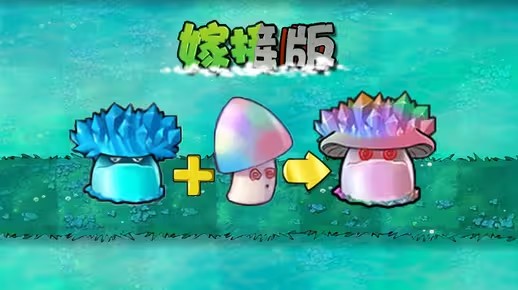 植物大战僵尸嫁接版新植物魅惑寒冰菇介绍1