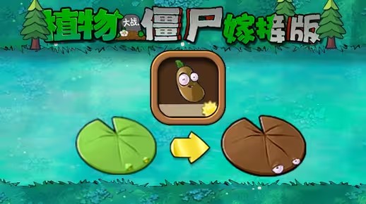 《植物大战僵尸嫁接版》新植物咖啡豆荷叶介绍1