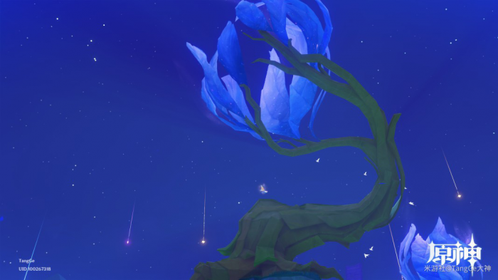 《原神》赐福森林欢声之羽全收集攻略20