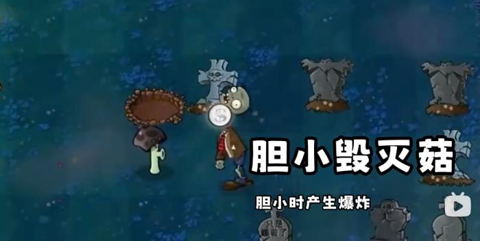 《植物大战僵尸无敌版》植物图鉴大全6