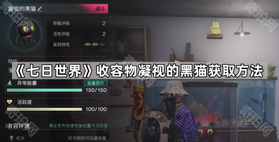 《七日世界》收容物凝视的黑猫获取方法1