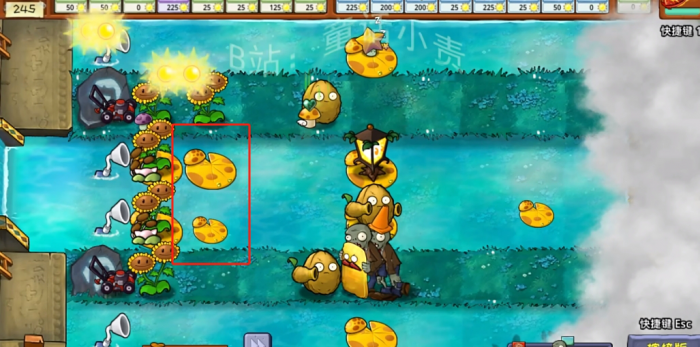 《植物大战僵尸嫁接版》新植物阳光菇荷叶介绍2