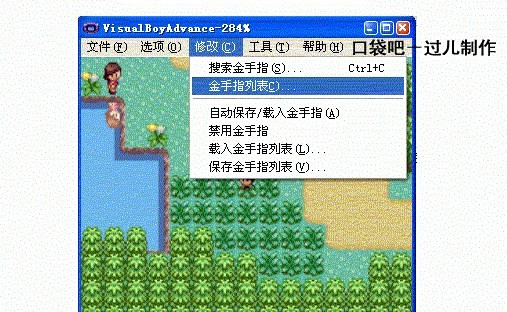 《口袋妖怪绿宝石》金手指代码大全2