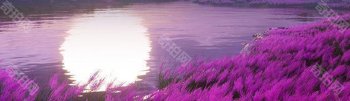 《天涯明月刀手游》捏脸数据导出/导入方法6