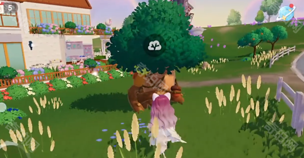 《心动小镇》每日溜溜橡木及无暇萤石位置一览3