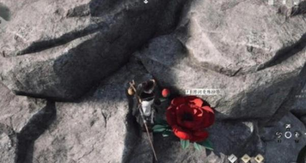 燕云十六声花魁任务怎么完成5