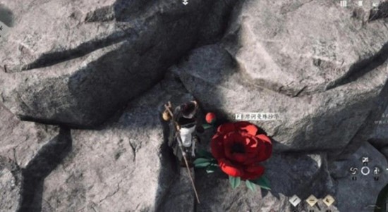 燕云十六声花魁任务怎么完成5