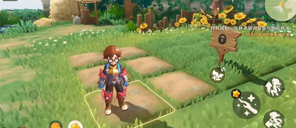 洛克王国世界家园种植怎么玩4