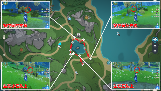 原神白梣木怎么采2