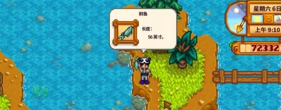 星露谷物语鲟鱼去哪钓4