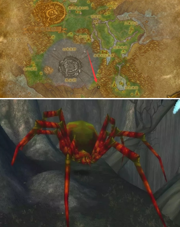 魔兽世界泰罗卡森林蜘蛛宝宝在哪抓2