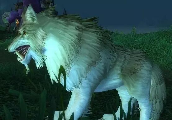 魔兽世界银松森林稀有狼在哪3