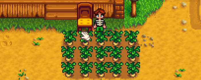 星露谷物语怎么快速发展1