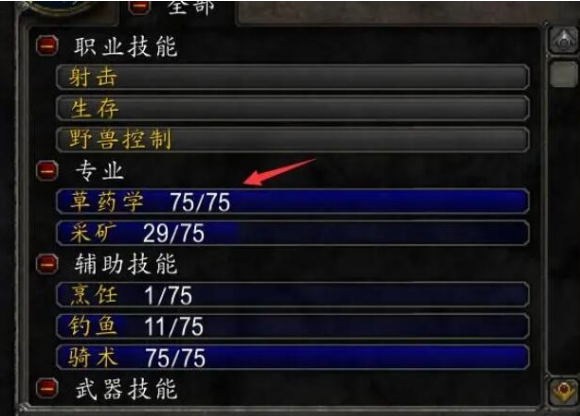 魔兽世界侏儒法师专业技能学什么好3