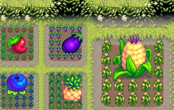 星露谷物语巨大作物怎么种植3