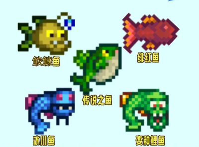 星露谷物语稀有鱼怎么获得2
