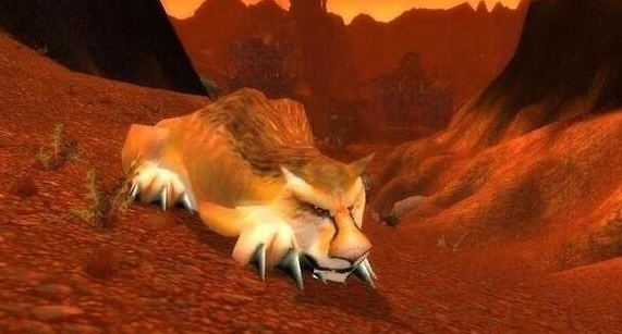 魔兽世界wlk猎人宝宝哪个好2