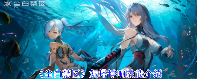 尘白禁区妮塔悸响有什么技能_尘白禁区妮塔之邀