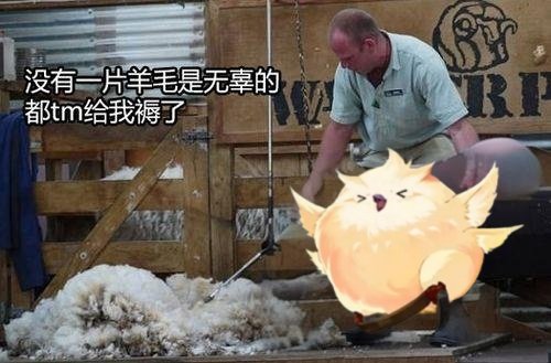 DNF帕尼柏大作战任务怎么做2