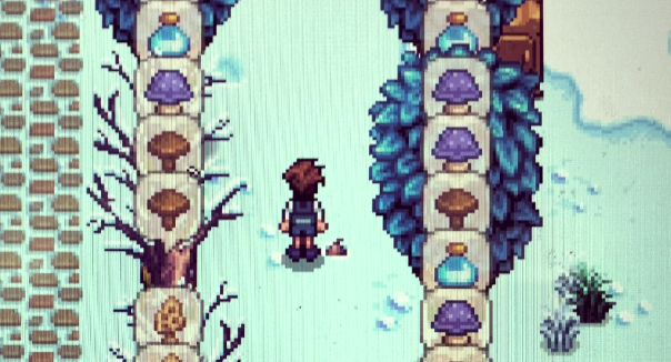 星露谷物语普通蘑菇怎么获得_星露谷物语普通蘑菇干怎么获得