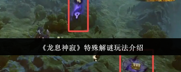 龙息神寂特殊解谜怎么玩_龙息技能