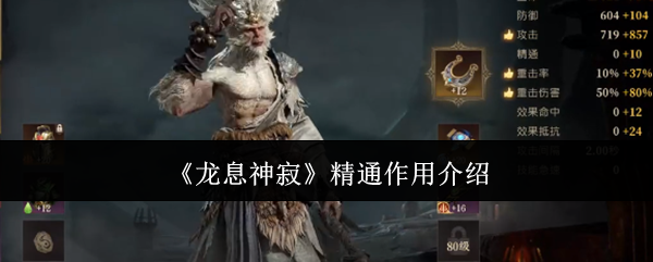 龙息神寂精通什么作用1