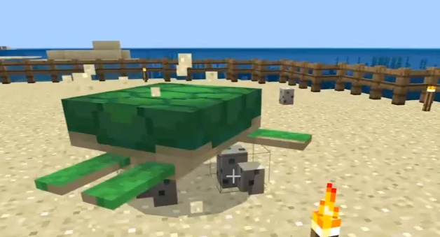 我的世界海龟蛋怎么孵化1