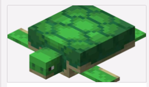 我的世界海龟蛋怎么获得1